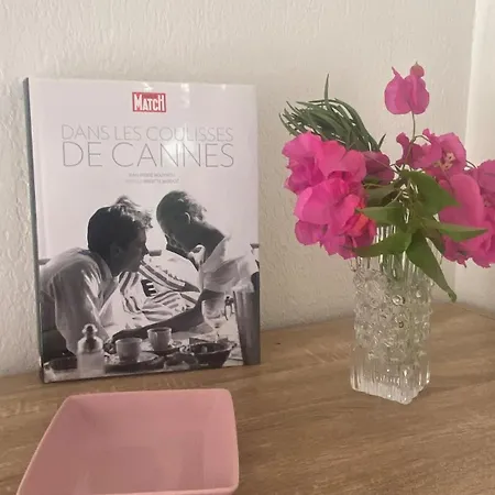 Pépite Zen Et Cosy, Parking Jardin, Idéal Pour Se Ressourcer Au Calme Hébergement de vacances Le Cannet